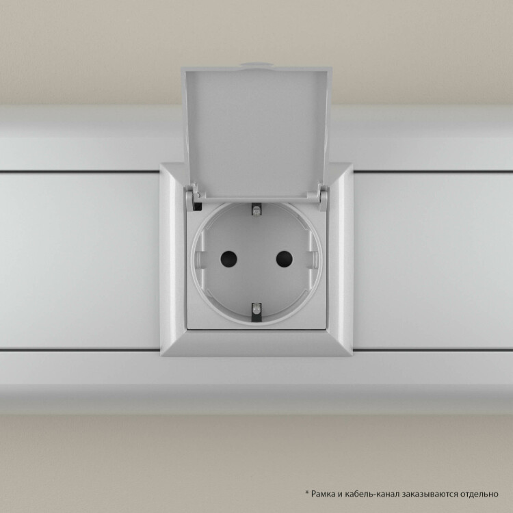 Розетка 1-я 2-мод. (мех. с накл.) С/У в каб.-кан. с з/к (2P+E) 16А штор., крыш. "закал. сталь" Avant
