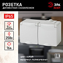 Розетка IP65 2-я (в сборе) О/У с з/к (2P+E) 16A гориз., крыш., серая, винт. Эксперт